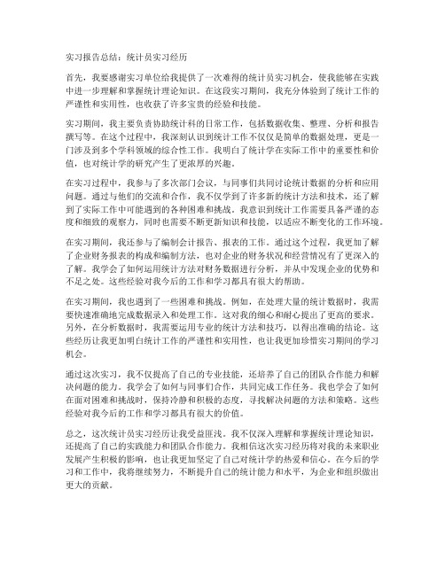 实习报告总结统计员