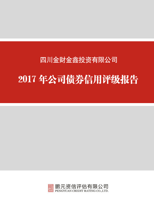 2017年公司债券信用评级报告.pdf