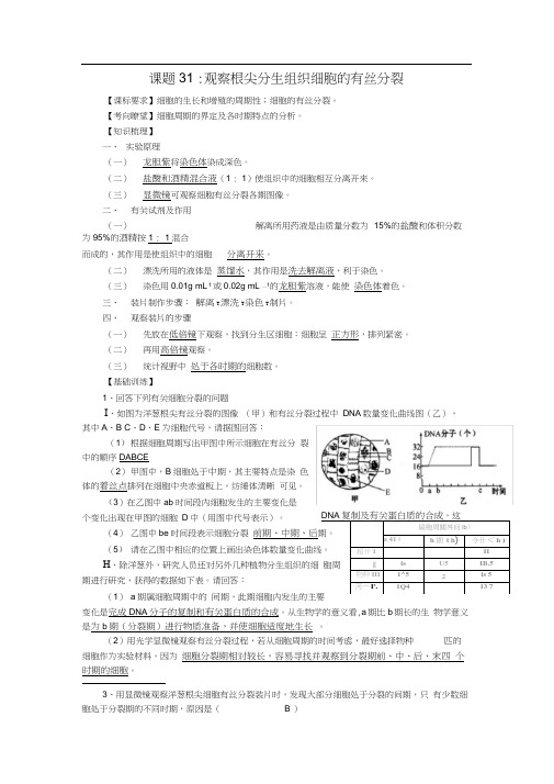 高中生物复习精讲精练课题31观察根尖分生组织细胞的有丝分裂