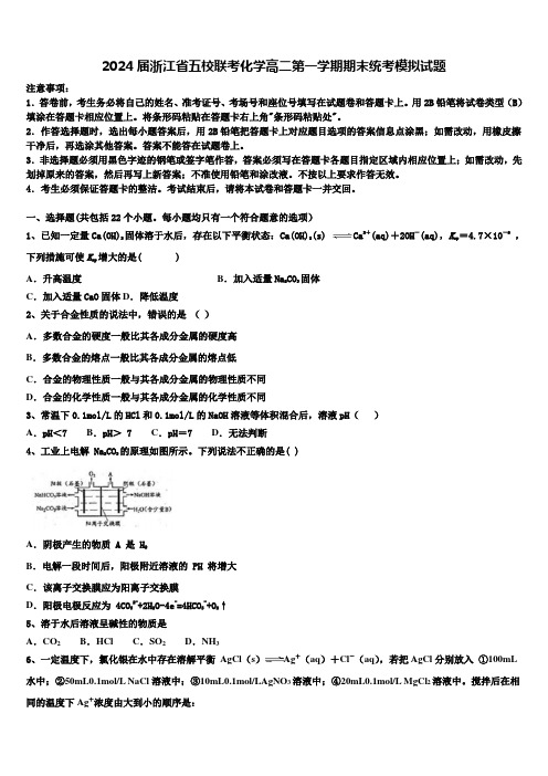 2024届浙江省五校联考化学高二第一学期期末统考模拟试题含解析