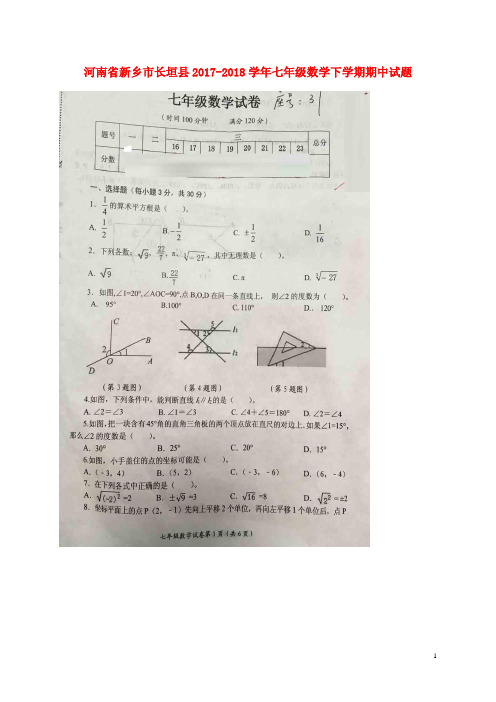 河南省新乡市长垣县七年级数学下学期期中试题(扫描版)