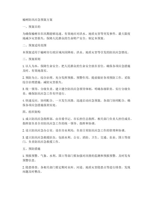 榆树防汛应急预案方案