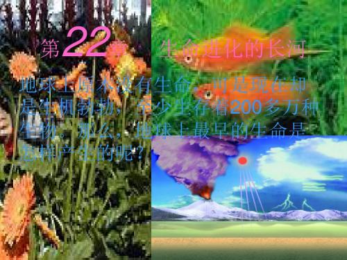 【初中生物】生命的起源PPT课件3