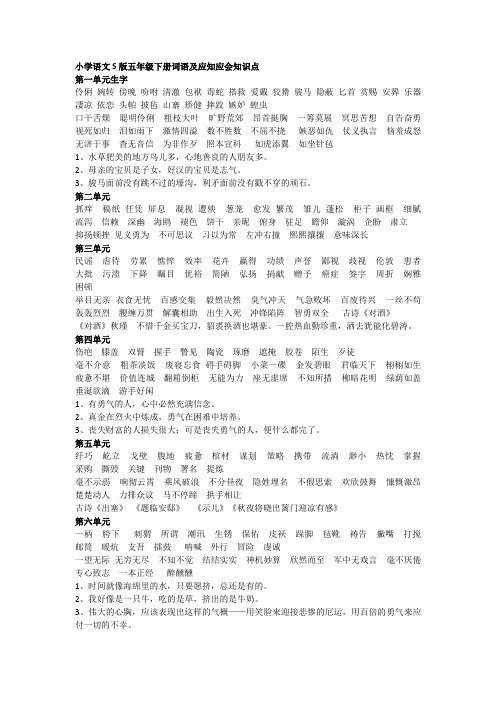 小学语文S版五年级下册词语及应知应会复习资料