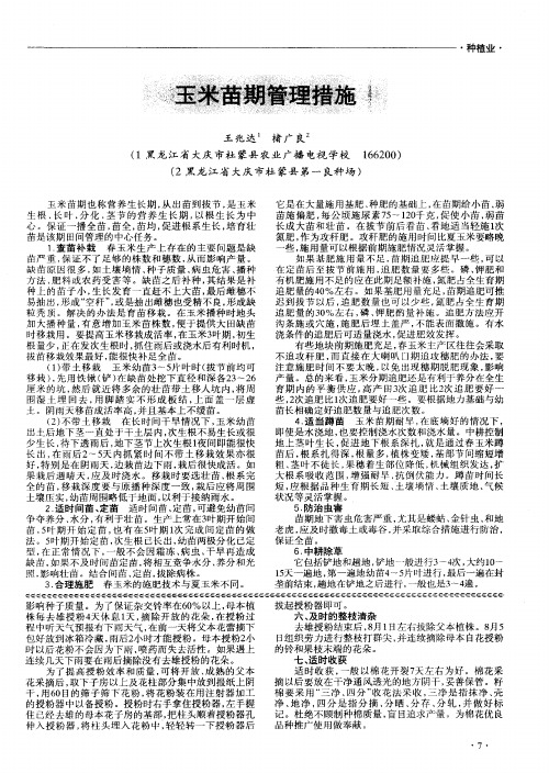 玉米苗期管理措施