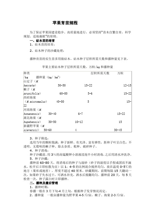 苹果育苗规程