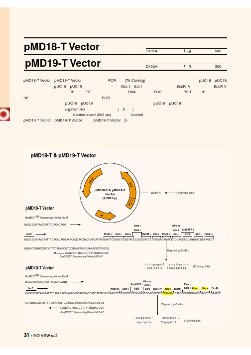 pMD18-19 T 载体图谱