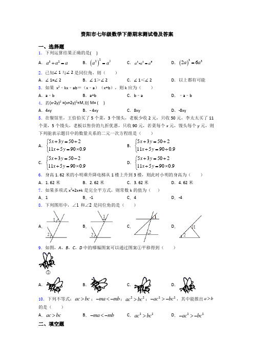 资阳市七年级数学下册期末测试卷及答案