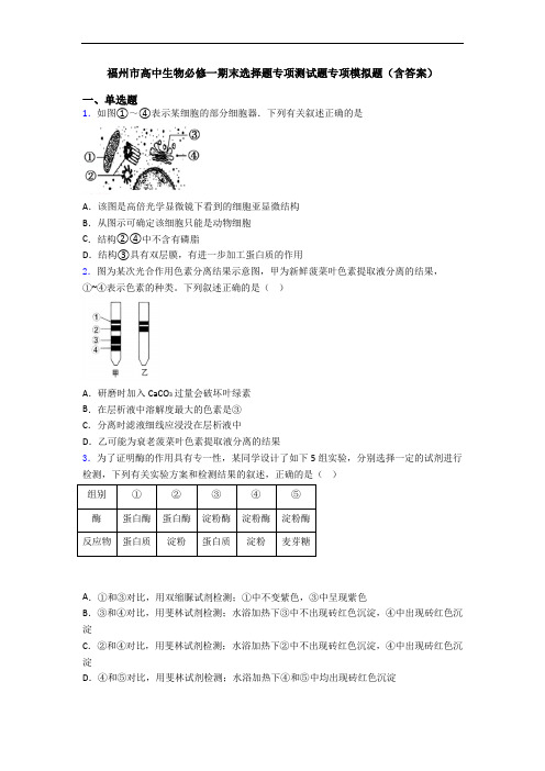 福州市高中生物必修一期末选择题专项测试题专项模拟题(含答案)