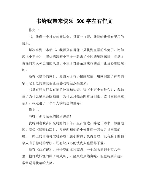 书给我带来快乐 500字左右作文