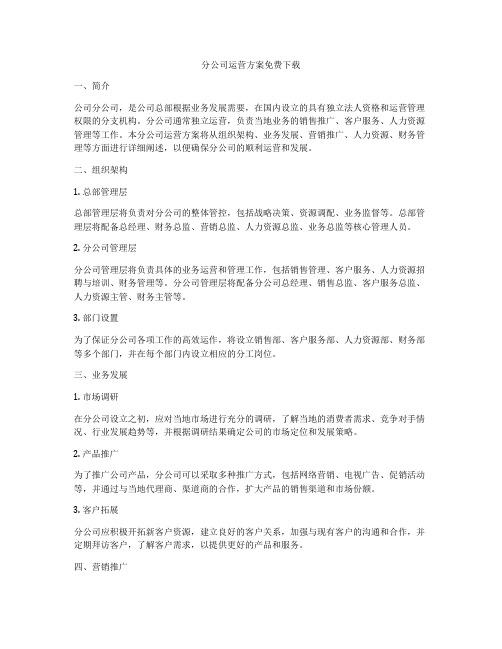 分公司运营方案免费下载