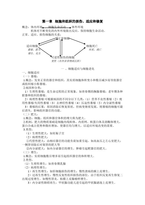 病理考博笔记.