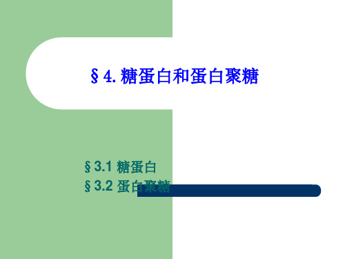 四、糖蛋白和蛋白聚糖