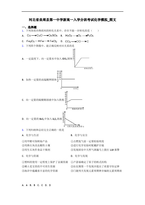 河北省曲周县第一中学新高一入学分班考试化学模拟_图文