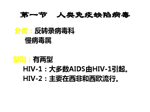 人类免疫缺陷病毒概述