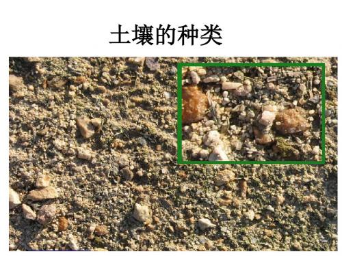 三年级科学上册3.2土壤的种类课件3湘教版