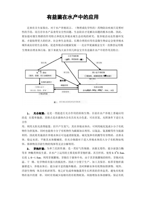 有益菌在水产中的作用