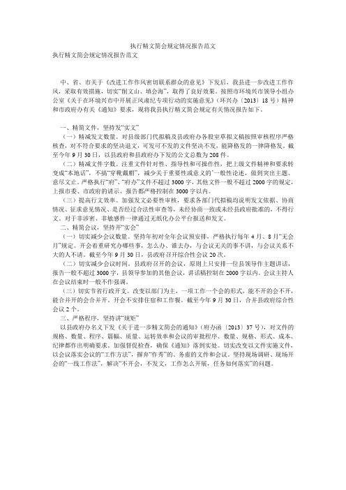 执行精文简会规定情况报告范文