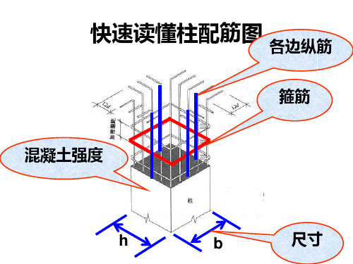 快速读懂柱配筋图 ppt课件