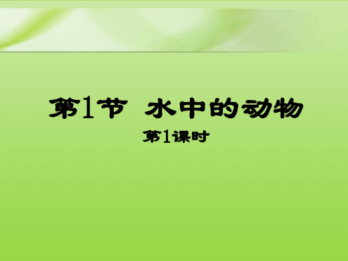 七年级下册生物课件 5101水中的动物课件1苏科版