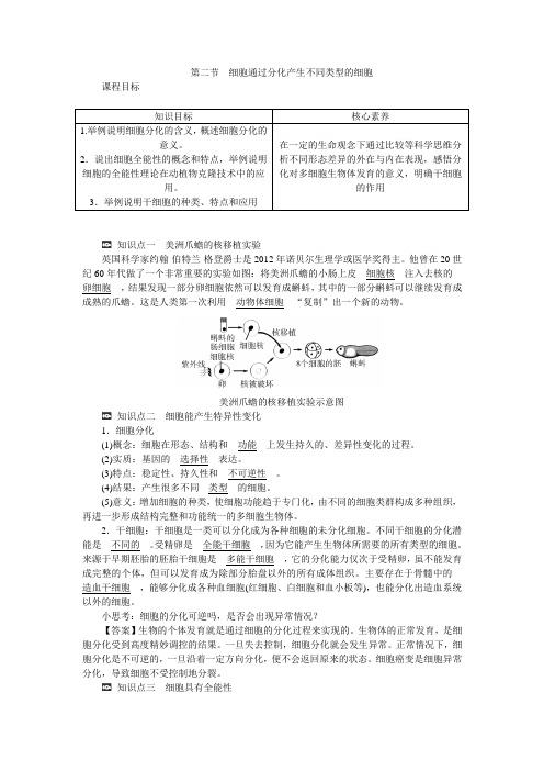 新教材高一生物浙科版必修第一册学案：第四章第二节细胞通过分化产生不同类型的细胞含答案