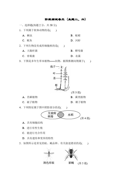 初中生物阶段测试卷三-2024年中考生物一轮复习(含答案)