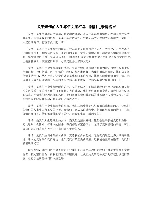 关于亲情的人生感悟文案汇总 【精】_亲情格言