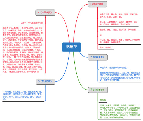 肥皂荚_思维导图_中药学_药材来源详解