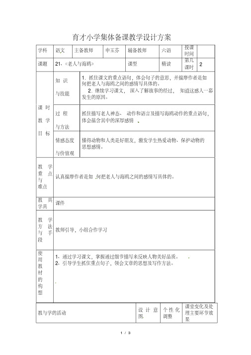 【教案设计】21.老人与海鸥(教案2)