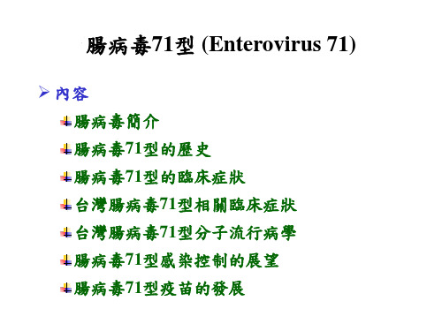 肠病毒71型Enterovirus71