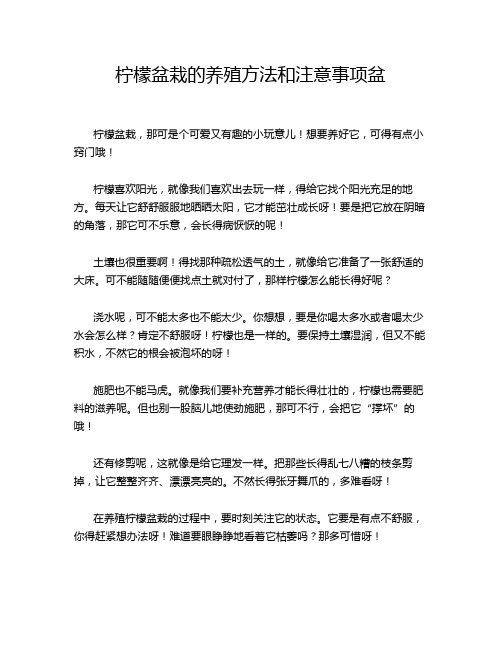 柠檬盆栽的养殖方法和注意事项盆