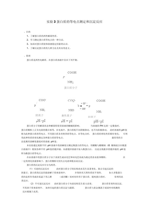 蛋白质的等电点测定和沉淀反应