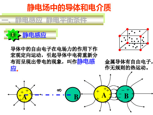 [理学]静电场中的导体