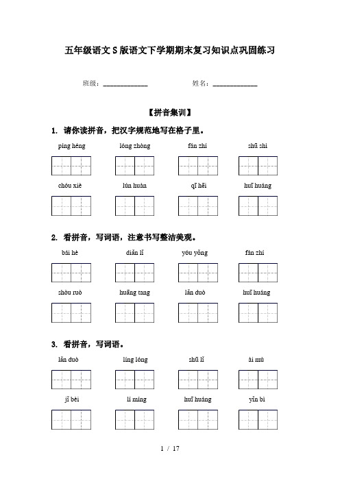 五年级语文S版语文下学期期末复习知识点巩固练习