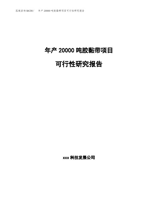 年产20000吨胶黏带项目可行性研究报告