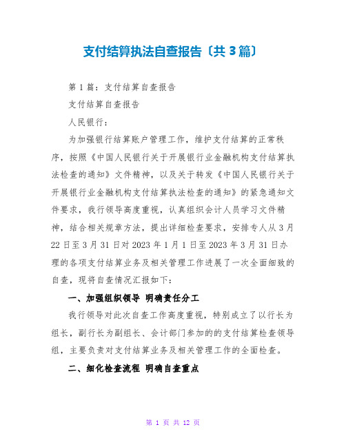 支付结算执法自查报告(共3篇)