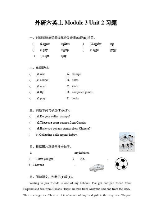 新外研版年英语六年级上册:Module 3 Unit 2习题