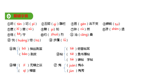 人教版(2019新教材)高中语文必修1教学课件： 基础知识梳理