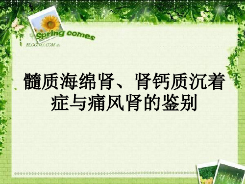 海绵肾、肾钙质沉着症与痛风肾的超声鉴别