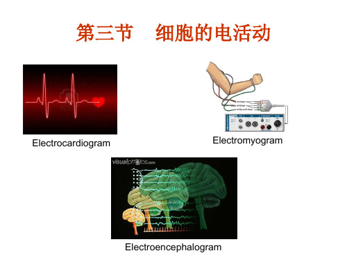 生理学：心肌电生理