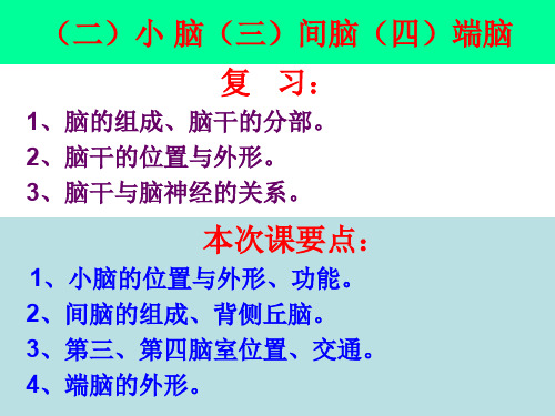 小、间、端脑课件 18页
