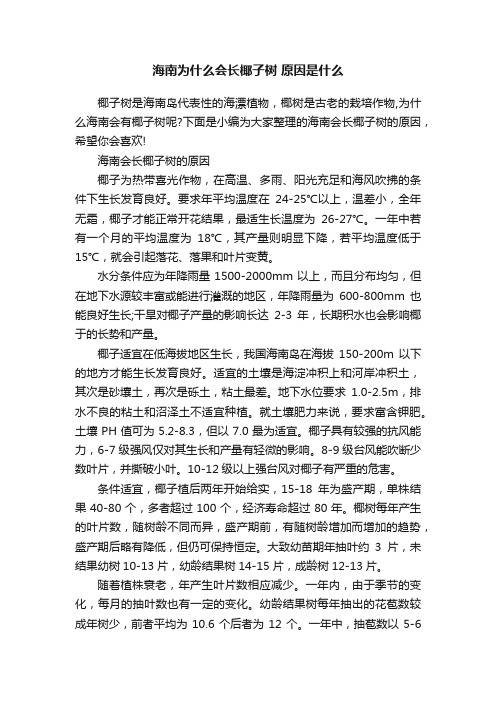 海南为什么会长椰子树原因是什么