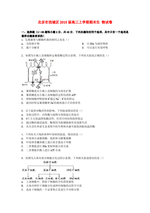 北京市西城区2015届高三生物上学期期末试卷(含解析)