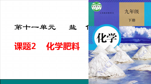 11.2化学肥料PPT九年级化学人教版下册精品课件