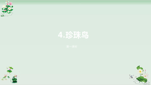 《珍珠鸟》PPT课件人教部编版1