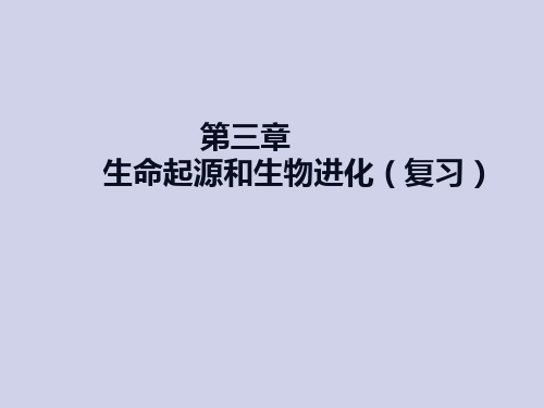 第三章生命起源和生物进化复习课件-河北省涞源县晶华学校人教版生物八年级下册(共20张PPT)