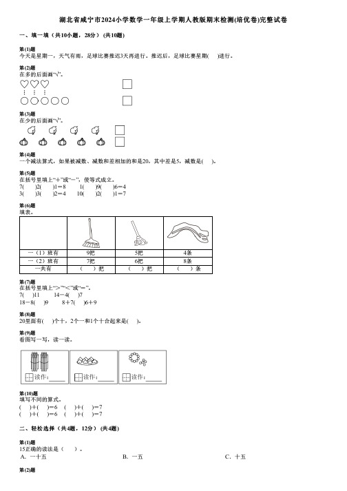 湖北省咸宁市2024小学数学一年级上学期人教版期末检测(培优卷)完整试卷