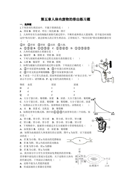 初中七年级生物下册第五章人体内废物的排出练习题