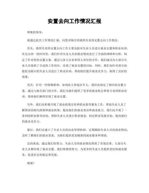 安置去向工作情况汇报