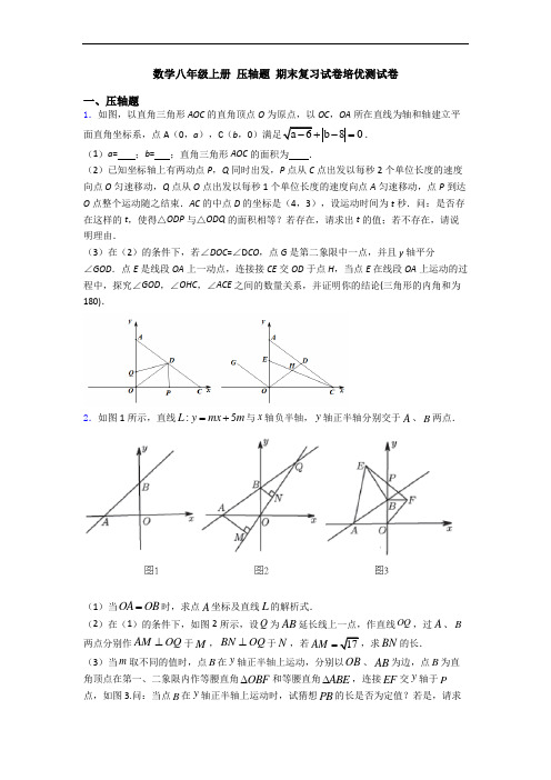 数学八年级上册 压轴题 期末复习试卷培优测试卷